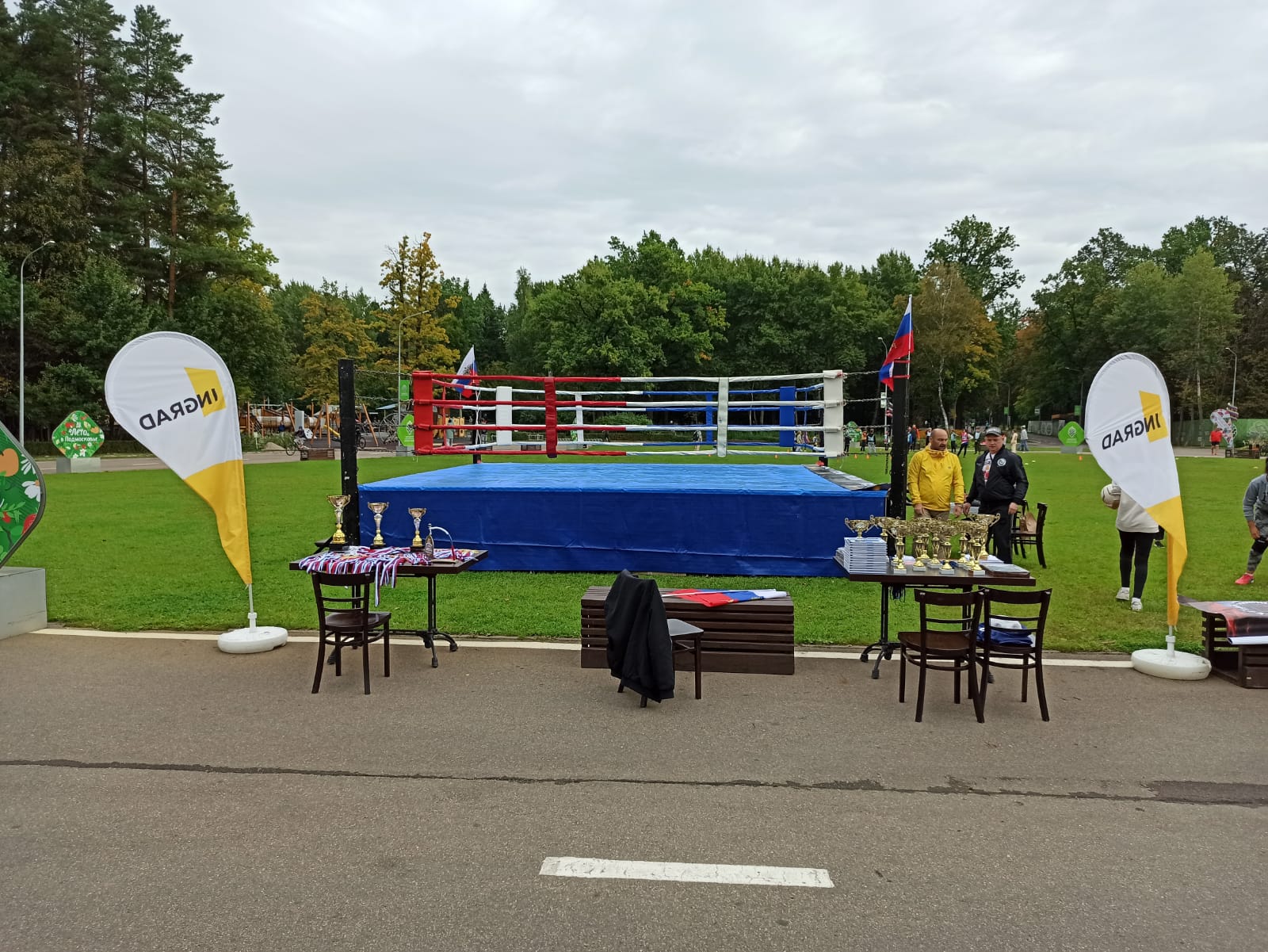 Профессиональный ринг